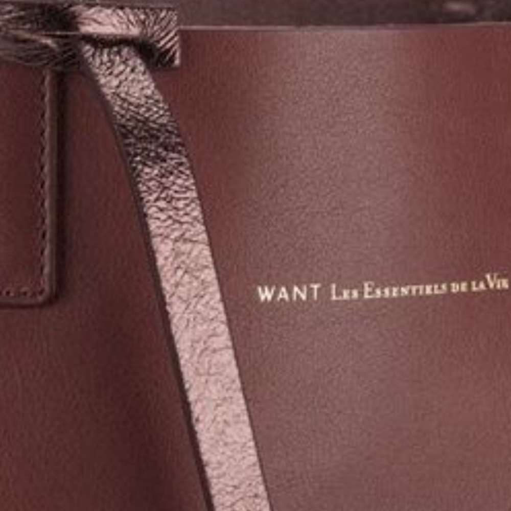 In Search Of: Want Les Essentiel Logan vertical tote bag - burnt umber color